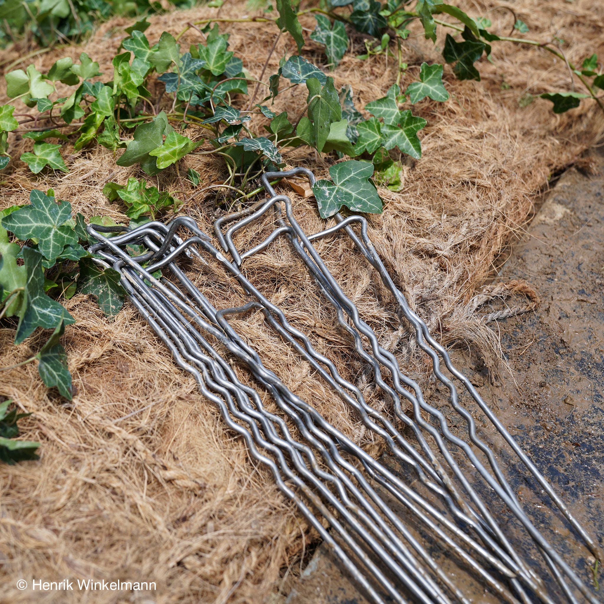 Erdnagel 300mm (Ökohaken) zur Fixierung der Bodendecker am laufenden Meter® Standardmatte