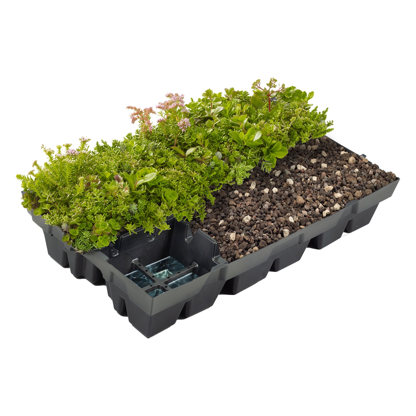 Helix® GrünDach Sedum Mix (Komplettsystem zur extensiven Dachbegrünung)