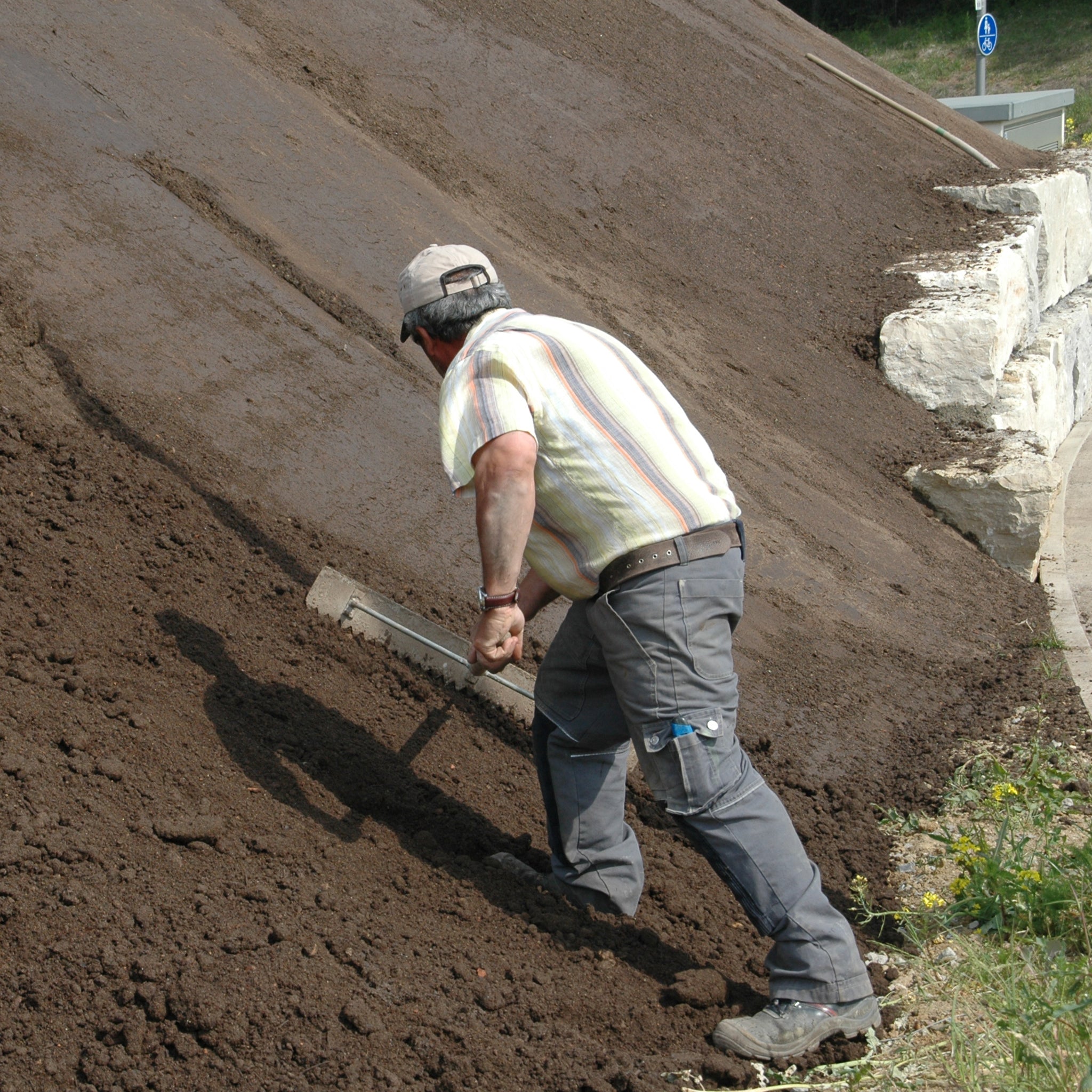 Bodendecker am laufenden Meter® Standardmatte Set - Waldsteinia ternata