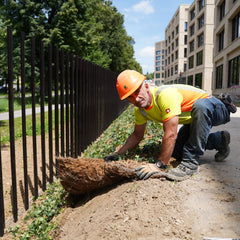 Bodendecker am laufenden Meter® Standardmatte Set - Hedera helix