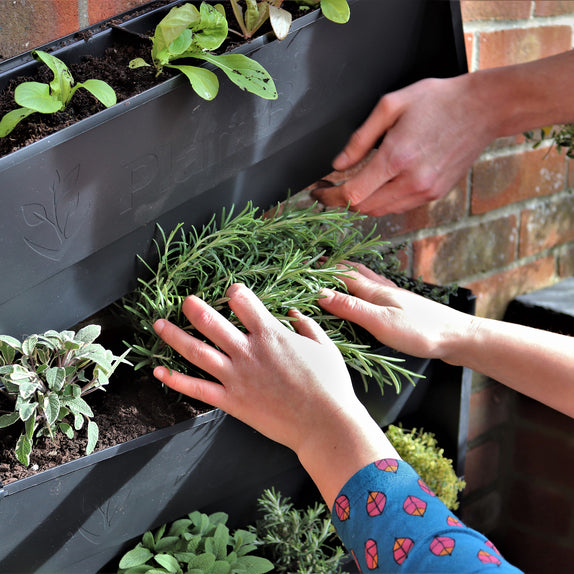 Helix® PlantBox - 5er Set zur Wandbegrünung