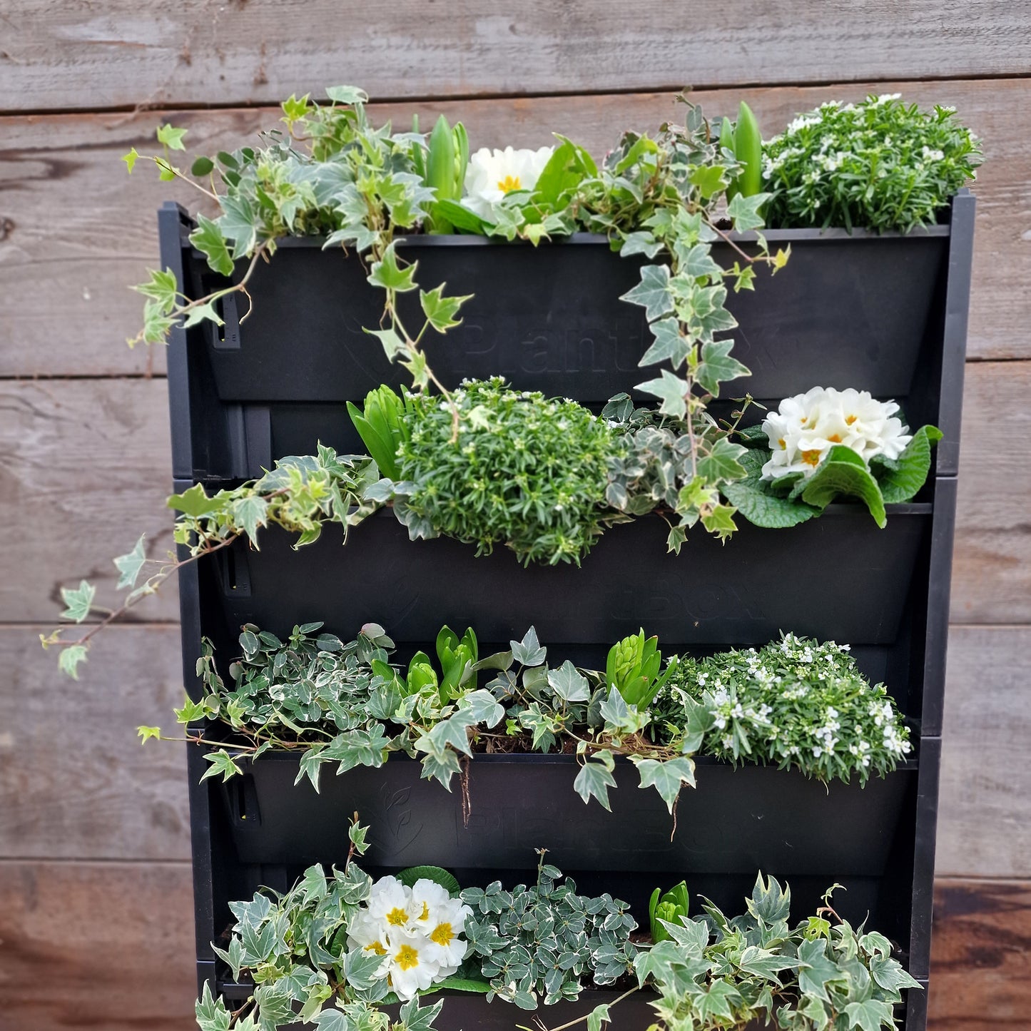 Helix® PlantBox - 5er Set zur Wandbegrünung