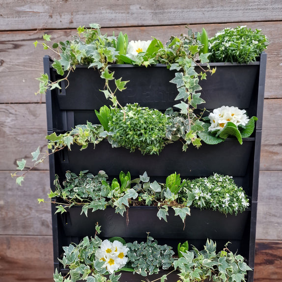 Helix® PlantBox - 5er Set zur Wandbegrünung