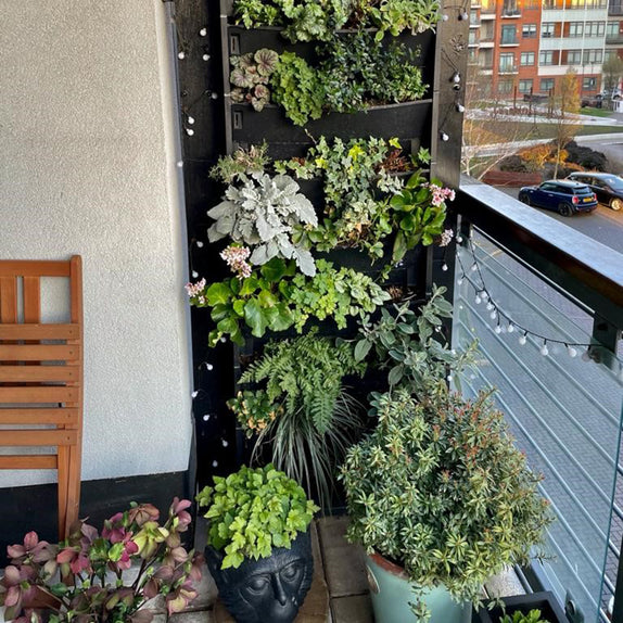 Helix® PlantBox - 10er Set zur Wandbegrünung