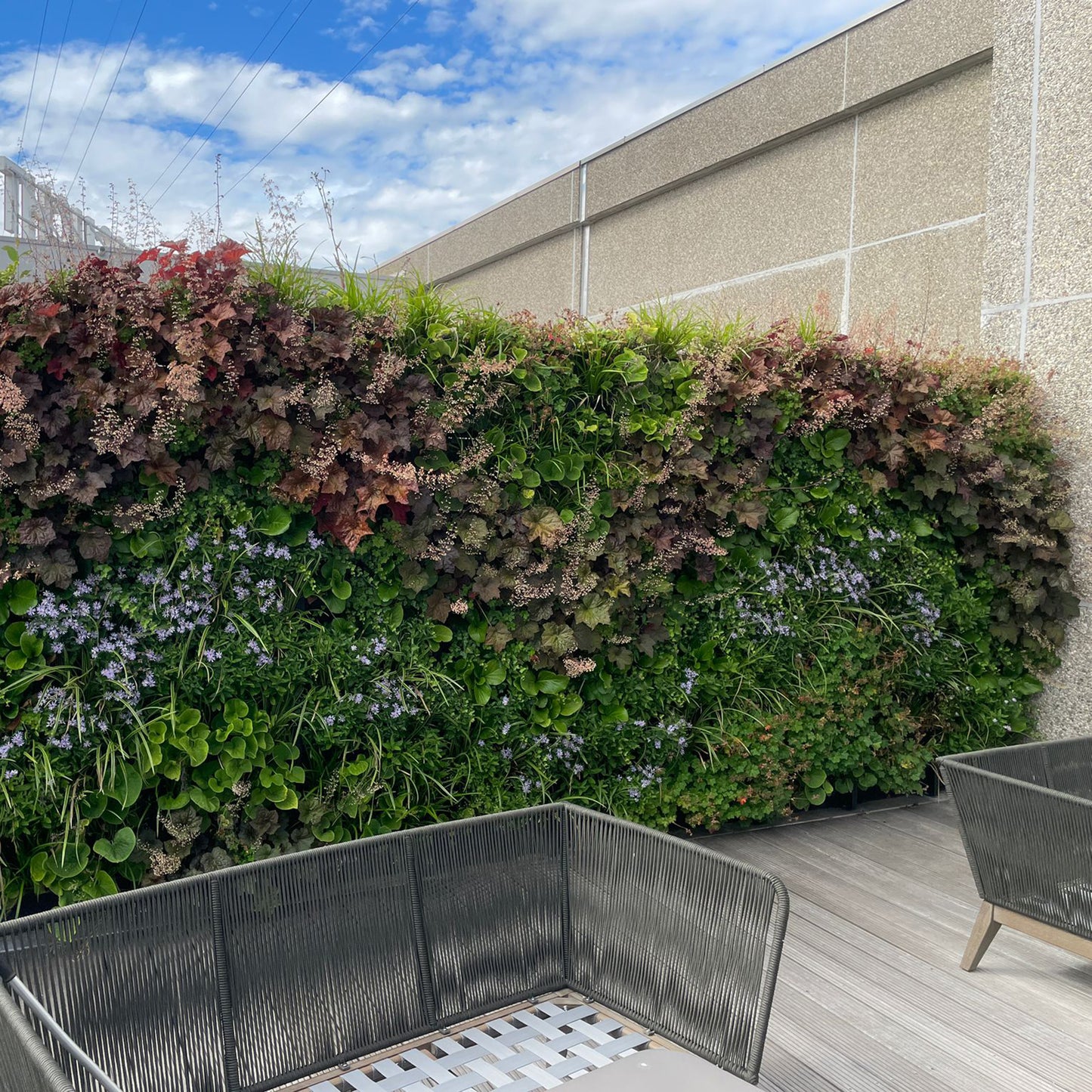 Helix® PlantBox - 5er Set zur Wandbegrünung