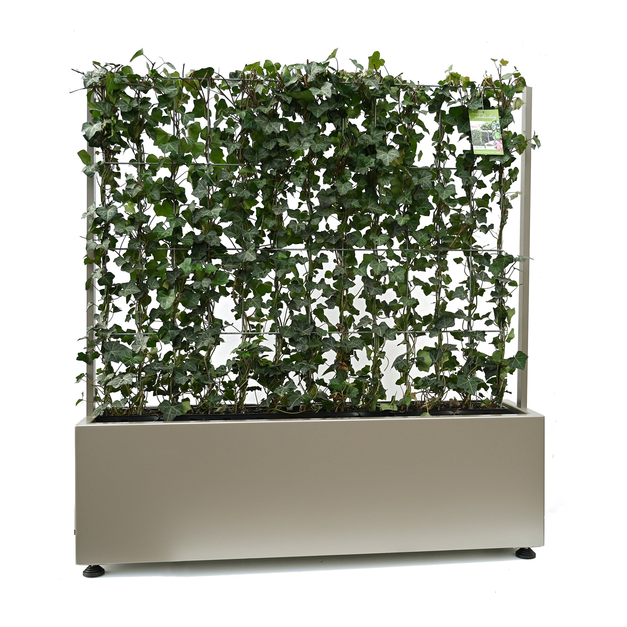 Pflanzgefäß 'Oslo' (unbepflanzt) passend für 'Hecke am laufenden Meter® Original, Color und Genuss'