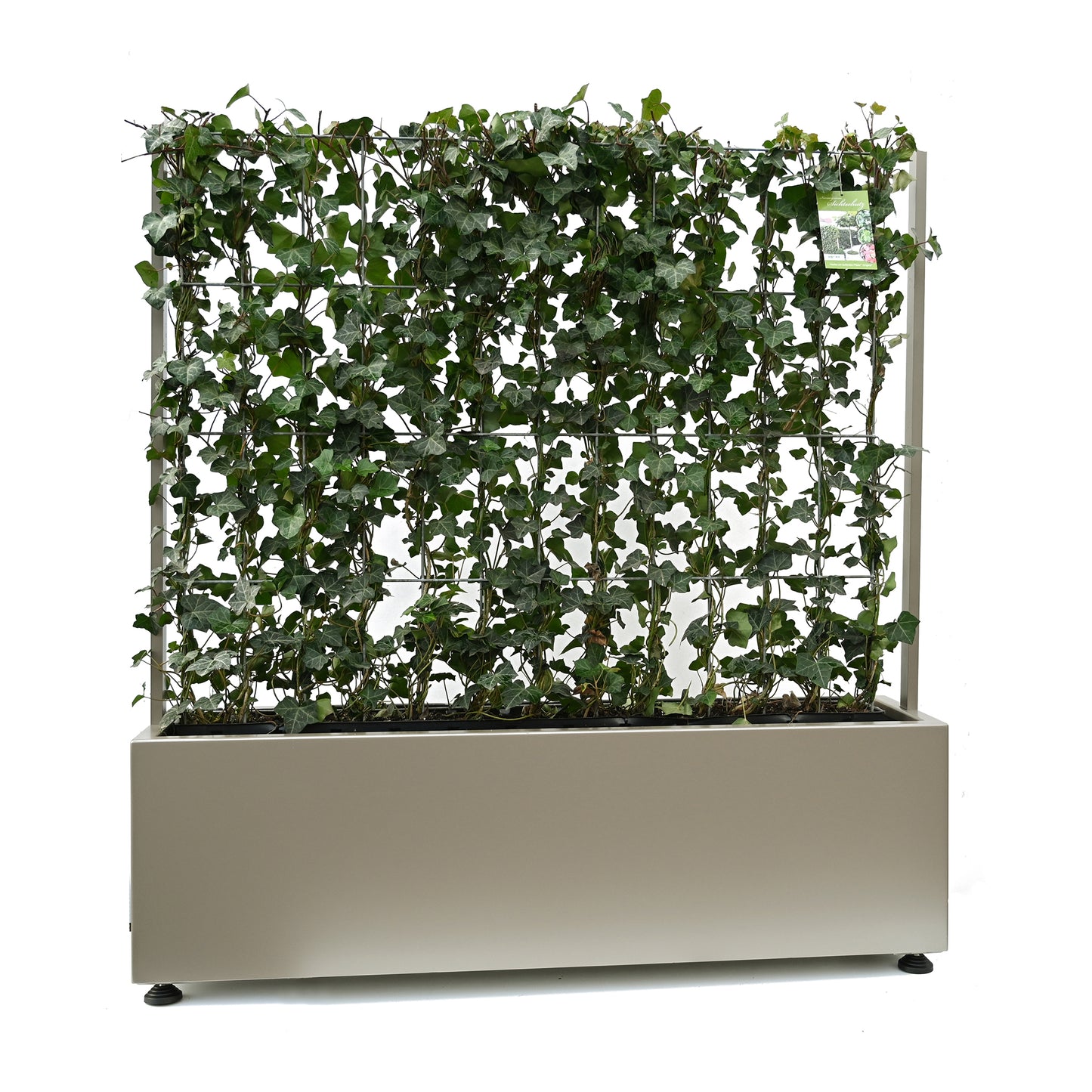 Pflanzgefäß 'Oslo' (unbepflanzt) passend für 'Hecke am laufenden Meter® Original, Color und Genuss'