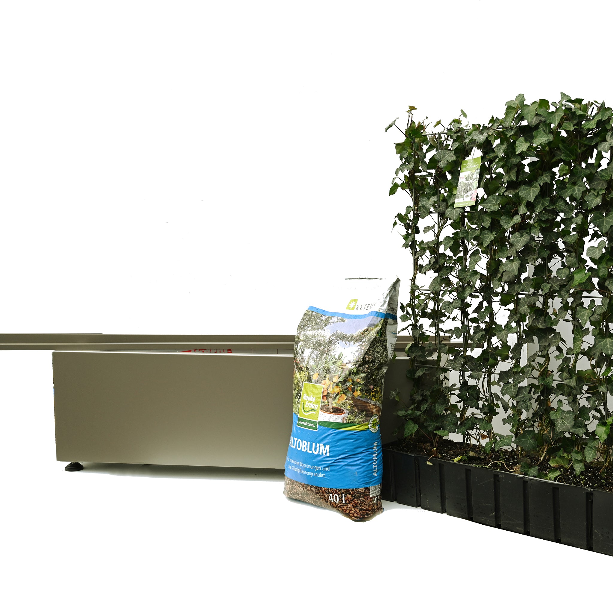 Pflanzgefäß 'Oslo' (unbepflanzt) passend für 'Hecke am laufenden Meter® Original, Color und Genuss'