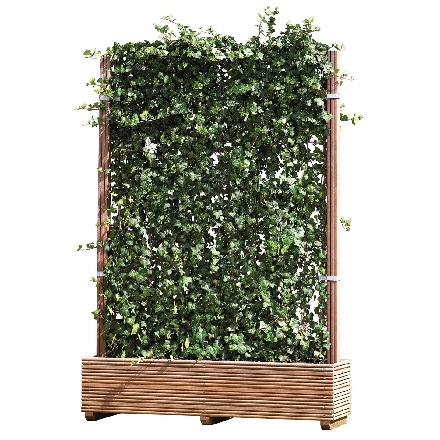 Pflanzgefäß 'Evergreen' (unbepflanzt) passend für 'Hecke am laufenden Meter® Original, Color und Genuss'